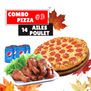 Combo Pizza + Ailes #3